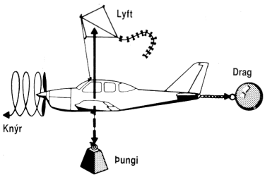 Flugeðlisfræði