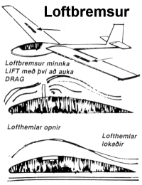 Sviffluga